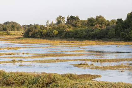 CARNAC Anse du Pô_ ÉTÉ 2021