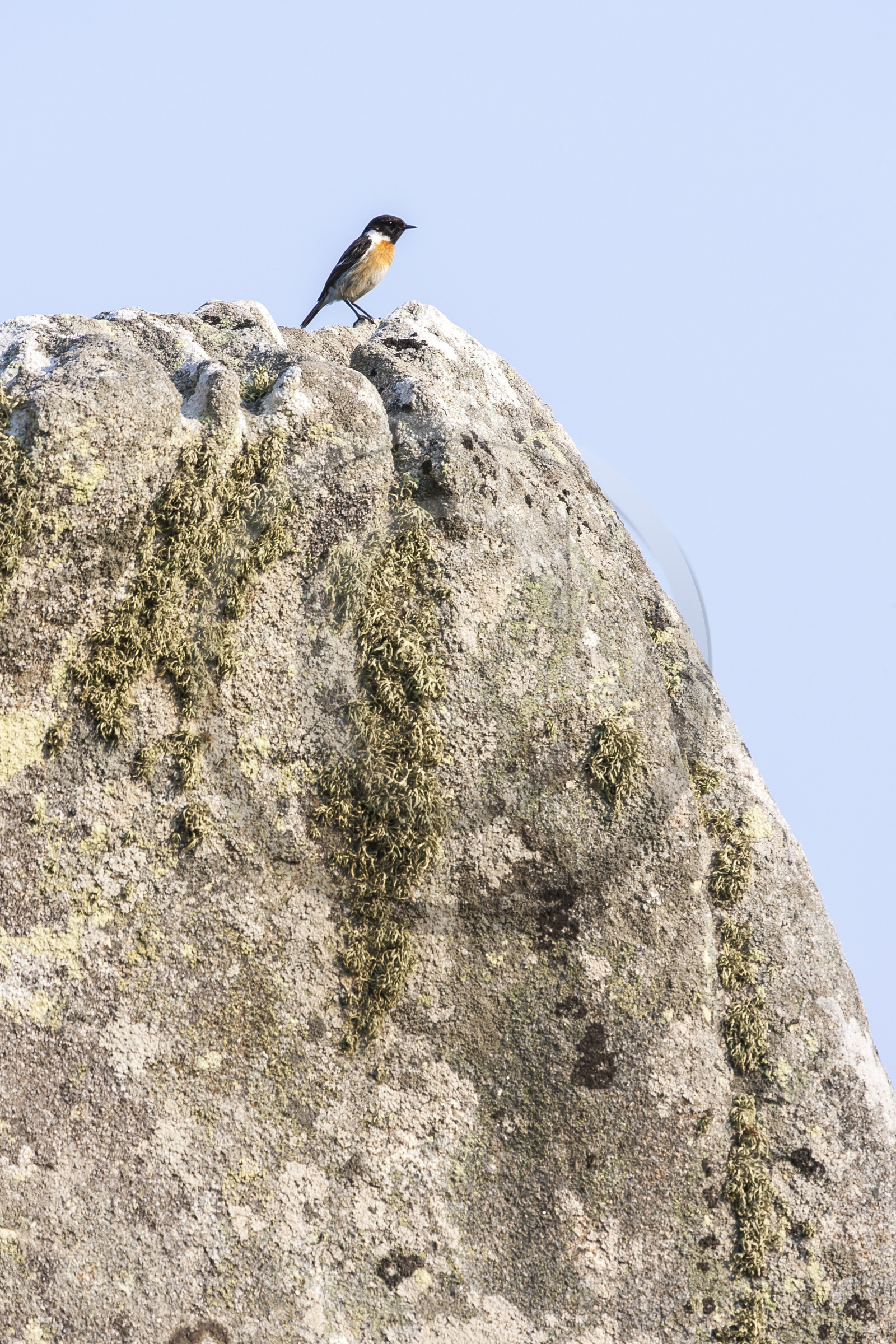 Alignements de Menhirs du Ménec à Carnac
