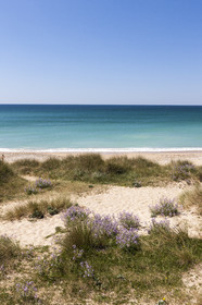 La plage de Lines à Gâvres