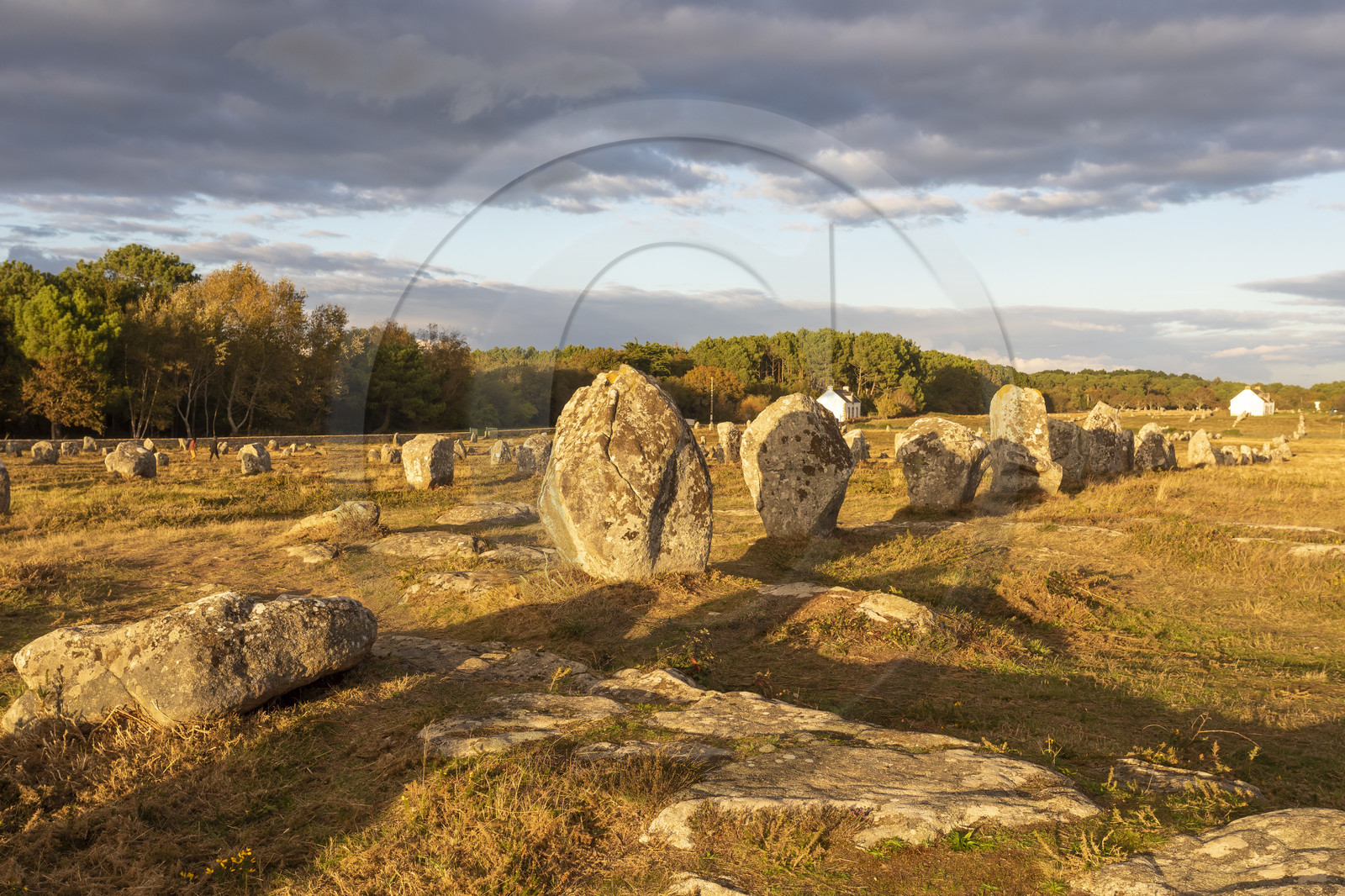 Les alignements du Ménec à Carnac