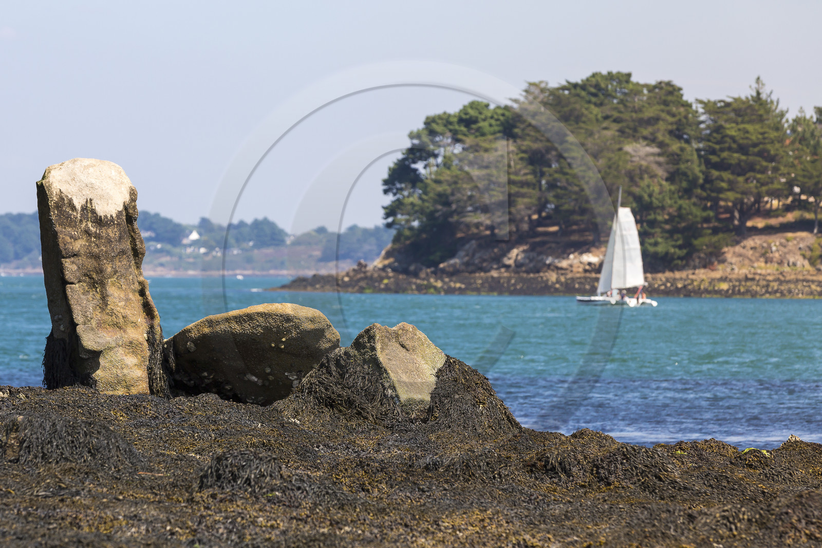 Er Lannic dans le golfe du Morbihan à Arzon