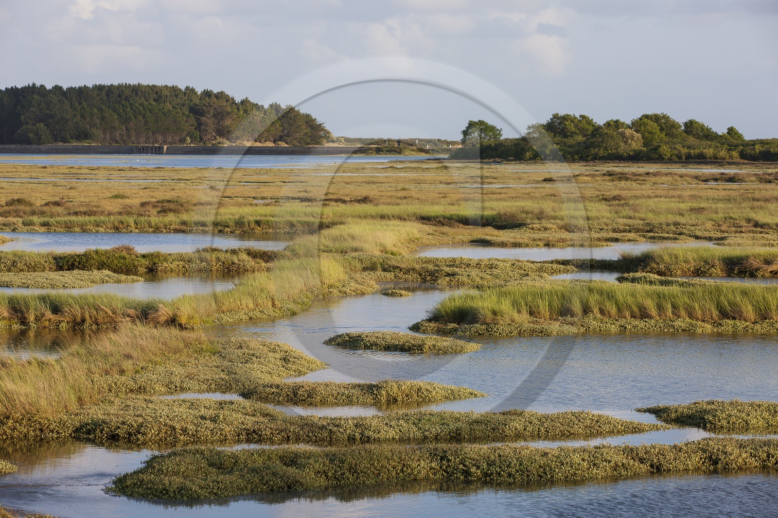 Anse de Kerdual _ La Trinite sur Mer