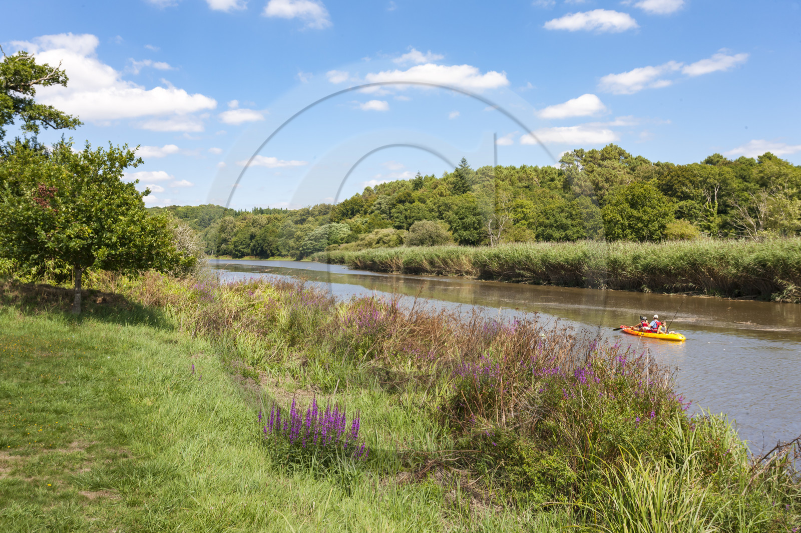 Balade en Kayak sur le Scorff