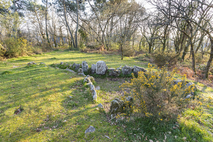 Le site mégalithiques de Mané Bogad à Ploemel
