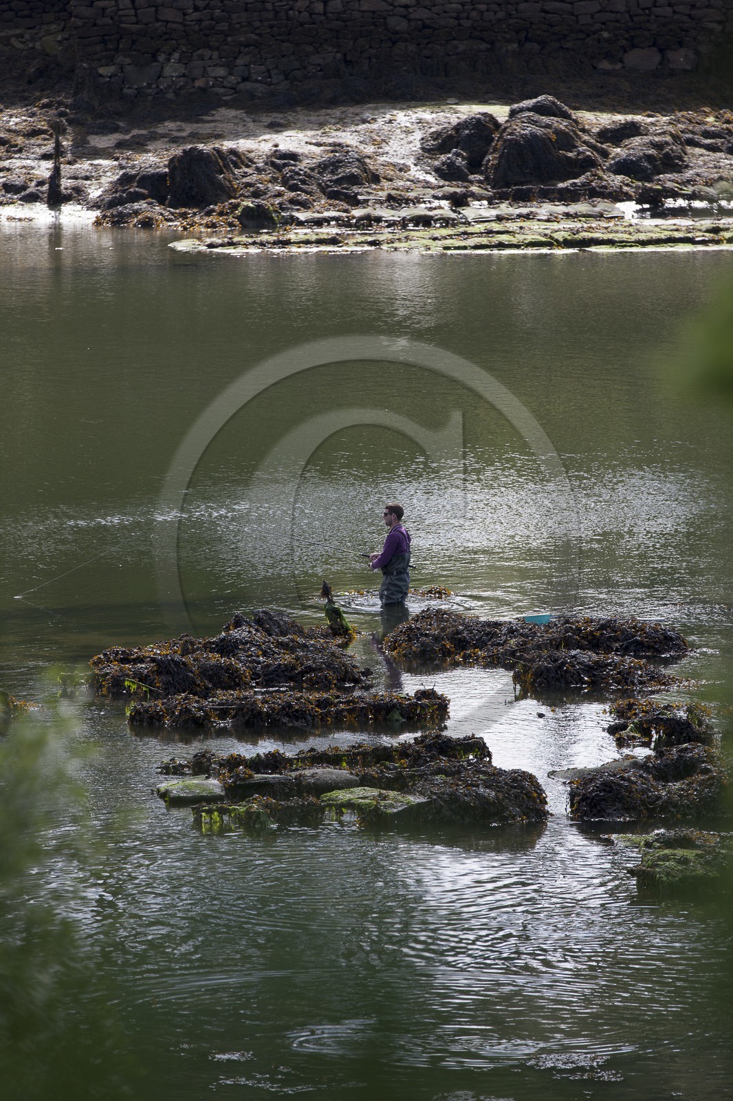 Pecheur dans un parc ostreicole _ la riviere de Crach _ La trinite sur mer .