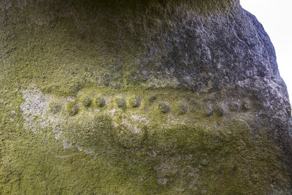 L'allée couverte de Kerguntuil à Trégastel.