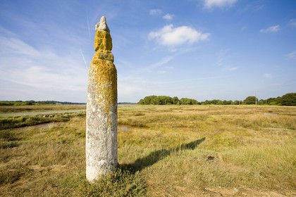 Quenouille Ste Brigitte. Locoal Mendon_Morbihan