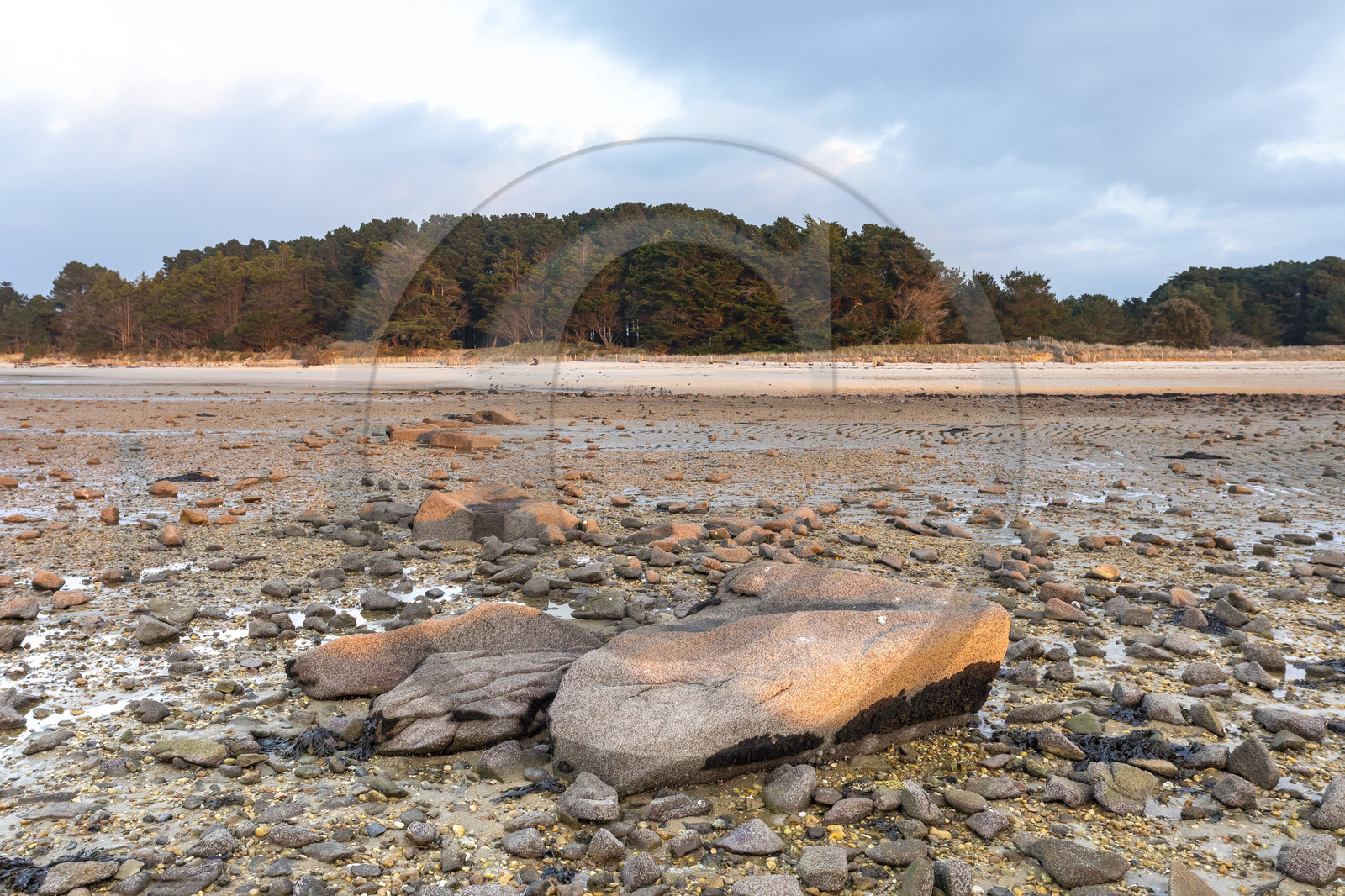 Alignements de Kerdual _ la Trinité sur Mer