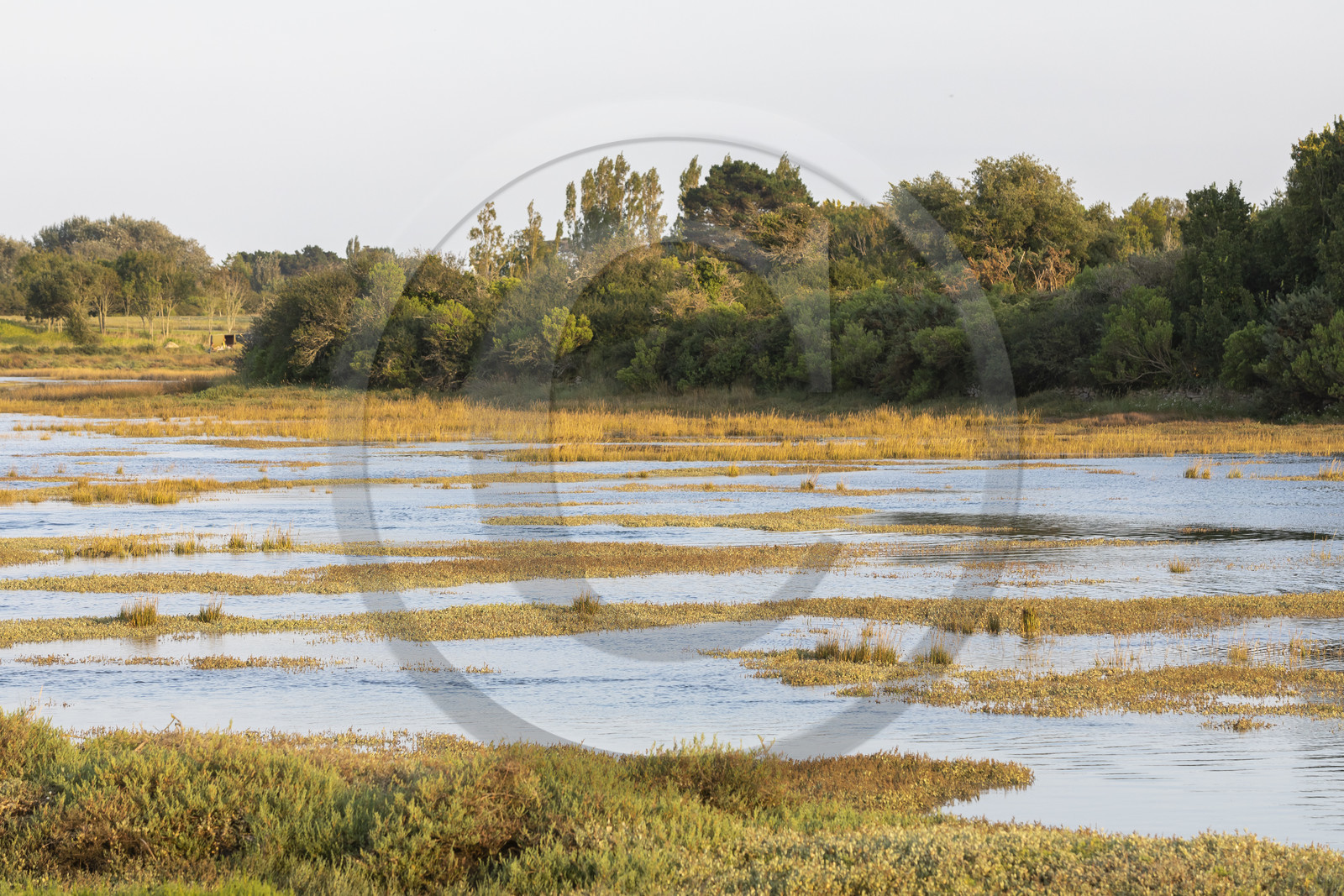 CARNAC Anse du Pô_ ÉTÉ 2021