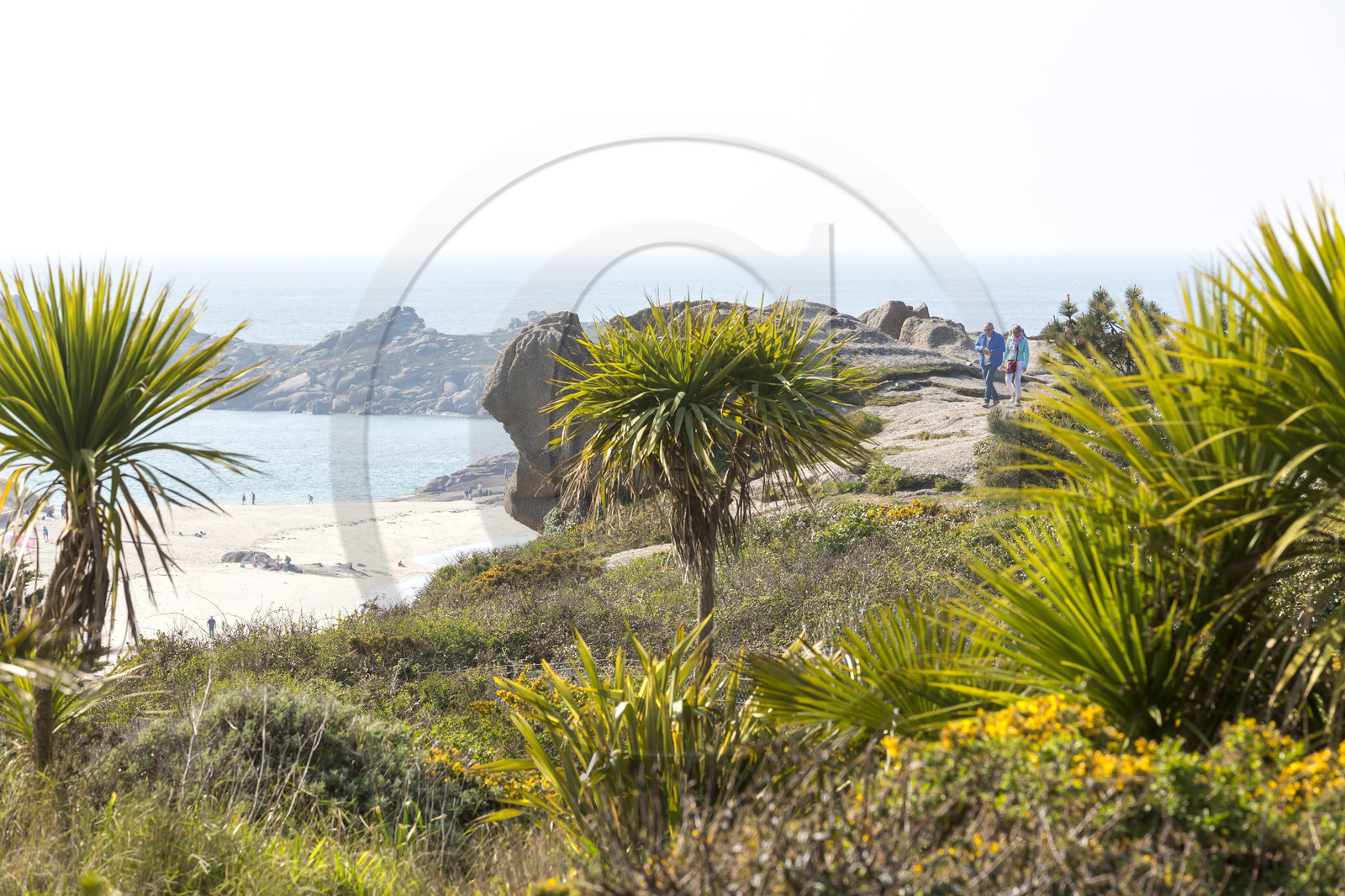 Panorama sur la côte de Tregastel