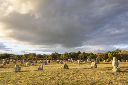 Les alignements du Ménec à Carnac