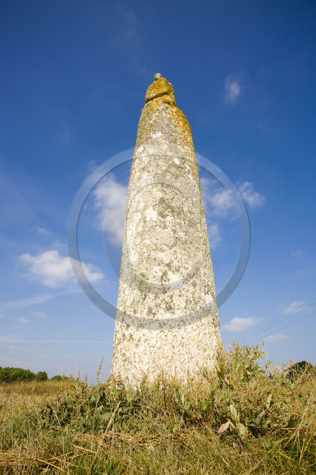 Quenouille Ste Brigitte. Locoal Mendon_Morbihan