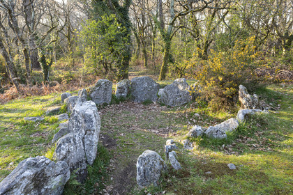 Le site mégalithiques de Mané Bogad à Ploemel