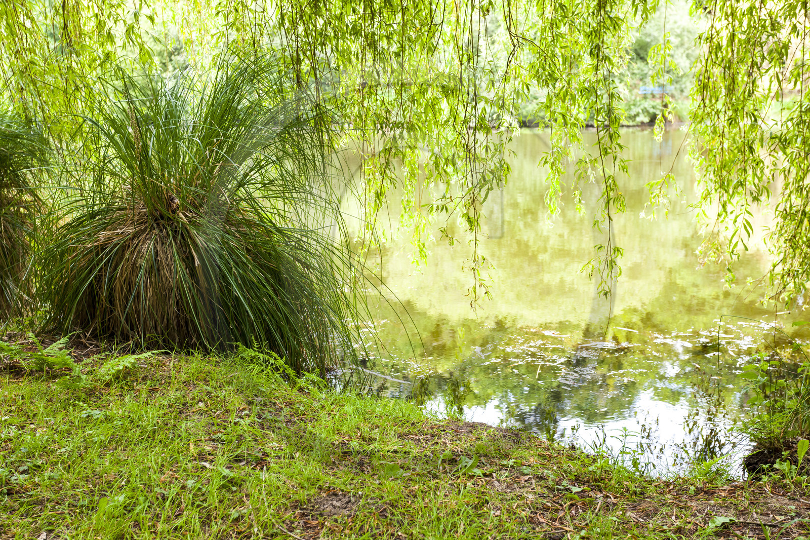 Etang de Kergoff à Caudan
