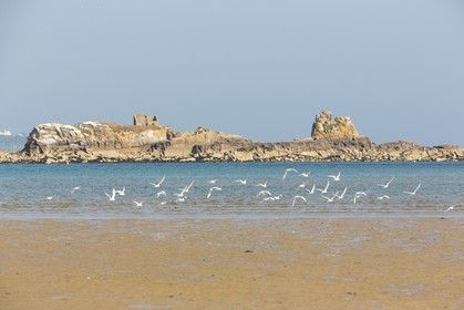 Archipel des Ebihens _ Saint-Jacut de la Mer