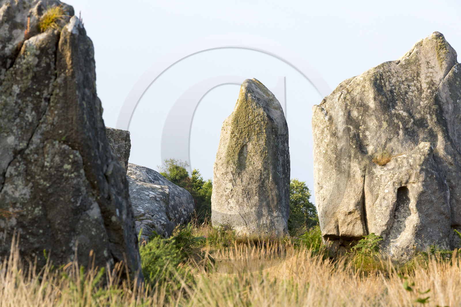 Les alignements de Kermario _ Carnac