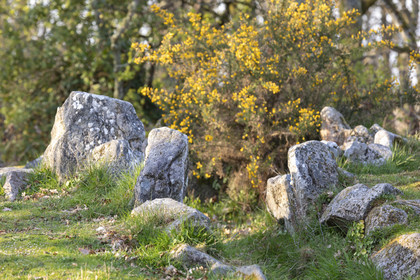Le site mégalithiques de Mané Bogad à Ploemel