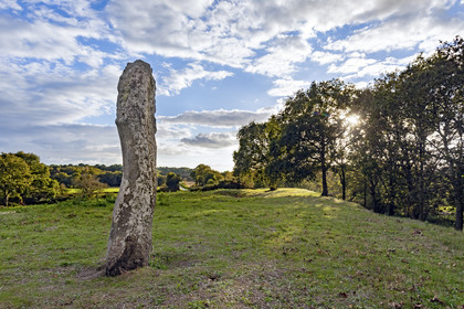 Le tumulus du Moustoir à Carnac