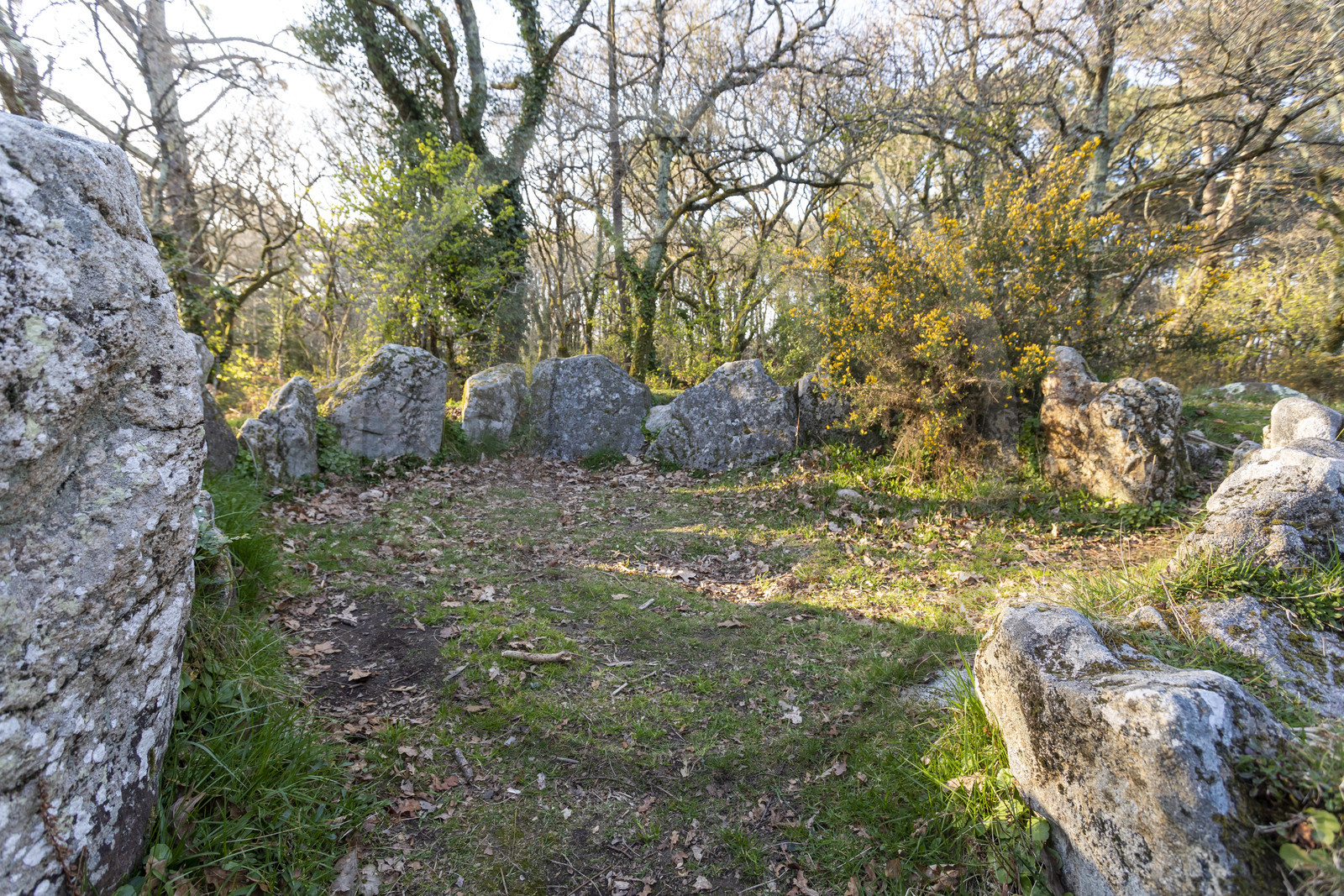 Le site mégalithiques de Mané Bogad à Ploemel