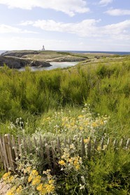 La pointe des poulains_Belle-île en mer_Morbihan_France