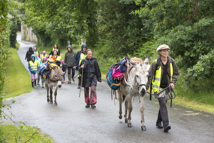 Association Copain-Coop’âne _ Quistinic
