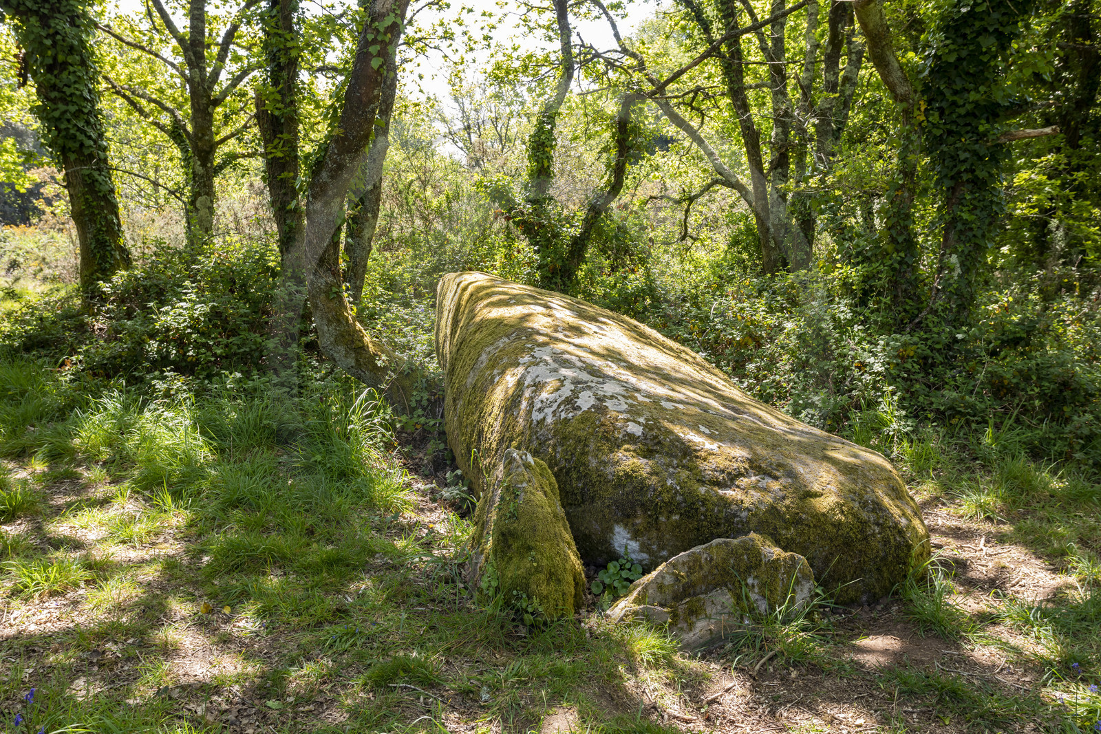 Dolmen de Men Hiaul (Kerblay) à Sarzeau