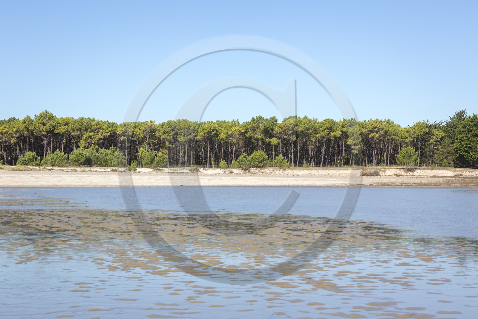 La plages des sables blancs à Plouharnel