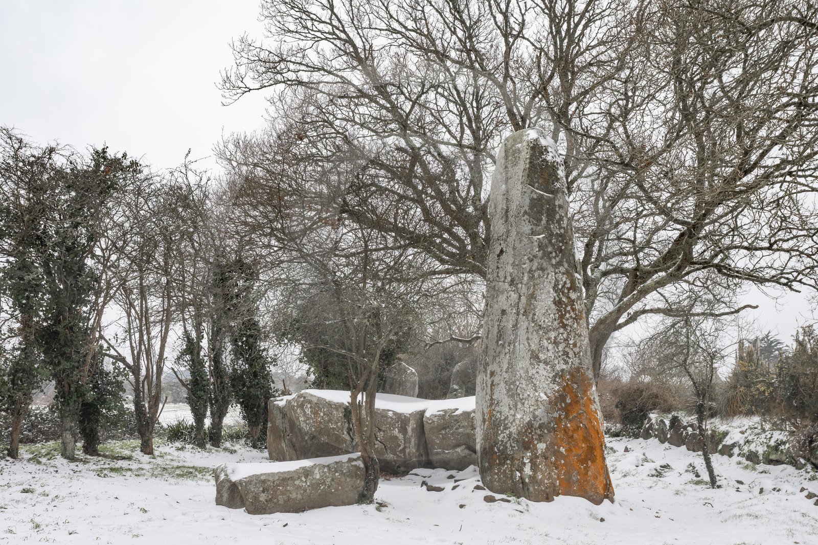 Alignements de Kerzerho _ Erdeven