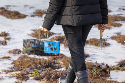Plage Saint-Michel, Erquy
