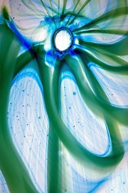 Kraken _ Inside Glass