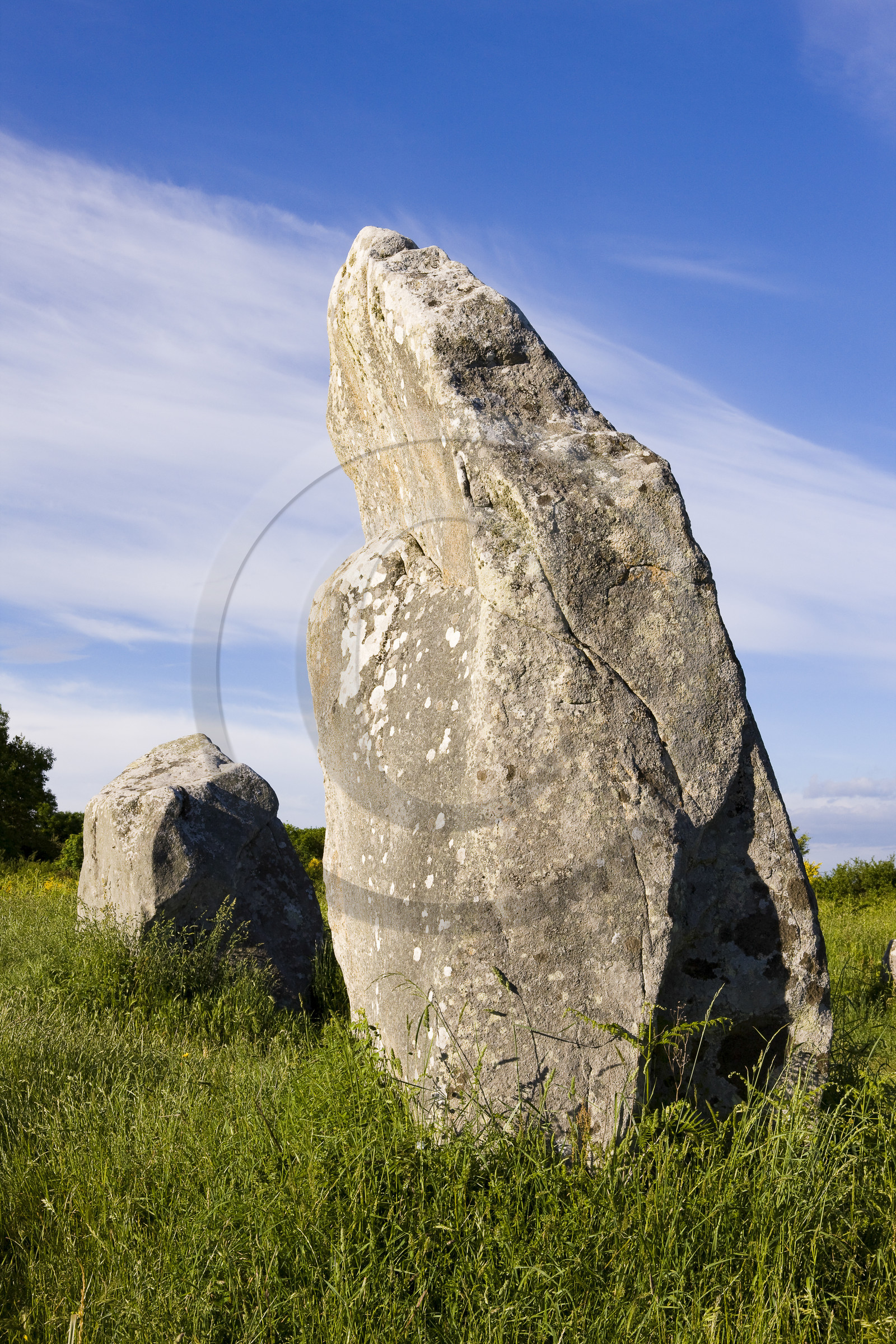 Alignements de Kerzerho _ Erdeven