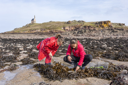 Plage de l'ilôt Saint-Michel à Erquy
