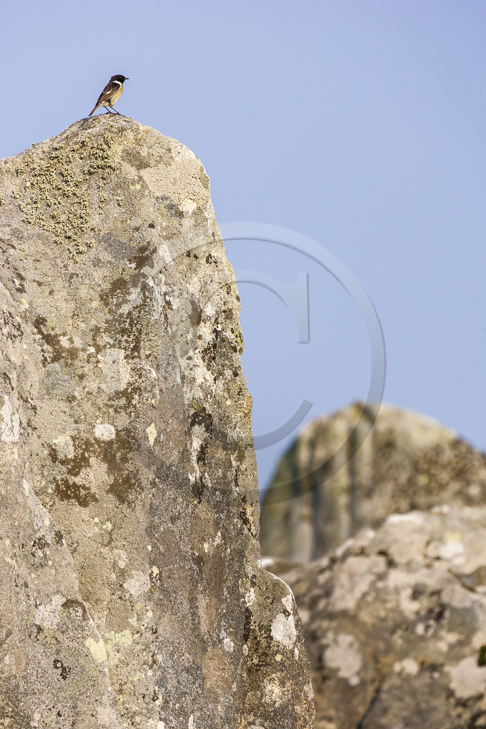 Alignements de Menhirs du Ménec à Carnac.
