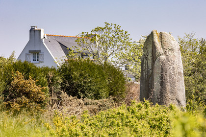 Le menhir de Kermaillard à Sarzeau
