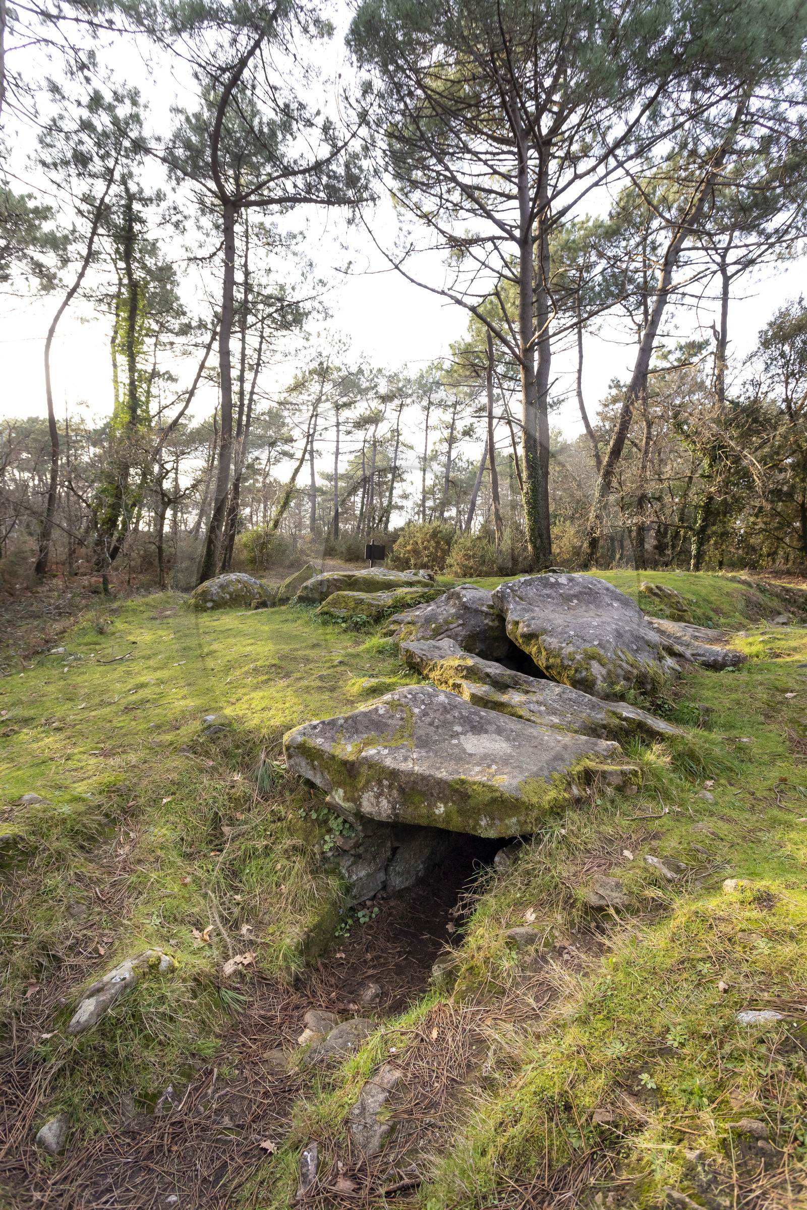 Le dolmen de Mané-Ven-Guen ou Toulvern situé à Baden
