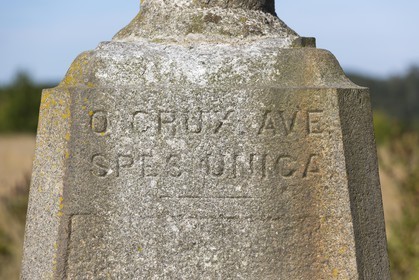 La croix Jolivet _ Crehen