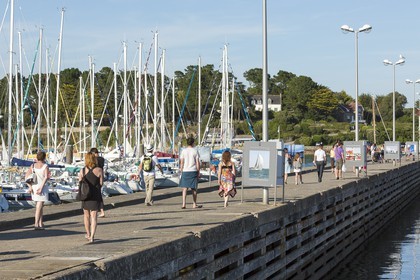 Le mole Loic Caradec