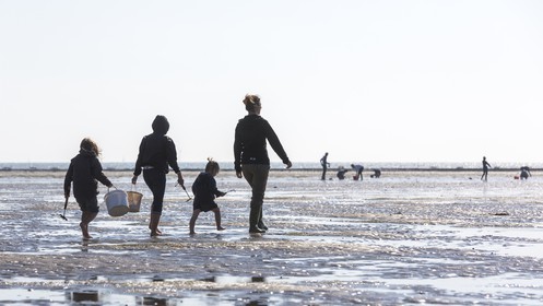Pêche à pied_Plouharnel