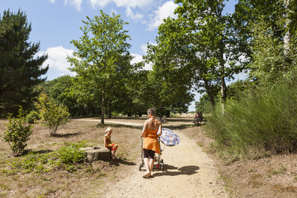 Parc du chateau du diable_Caudan
