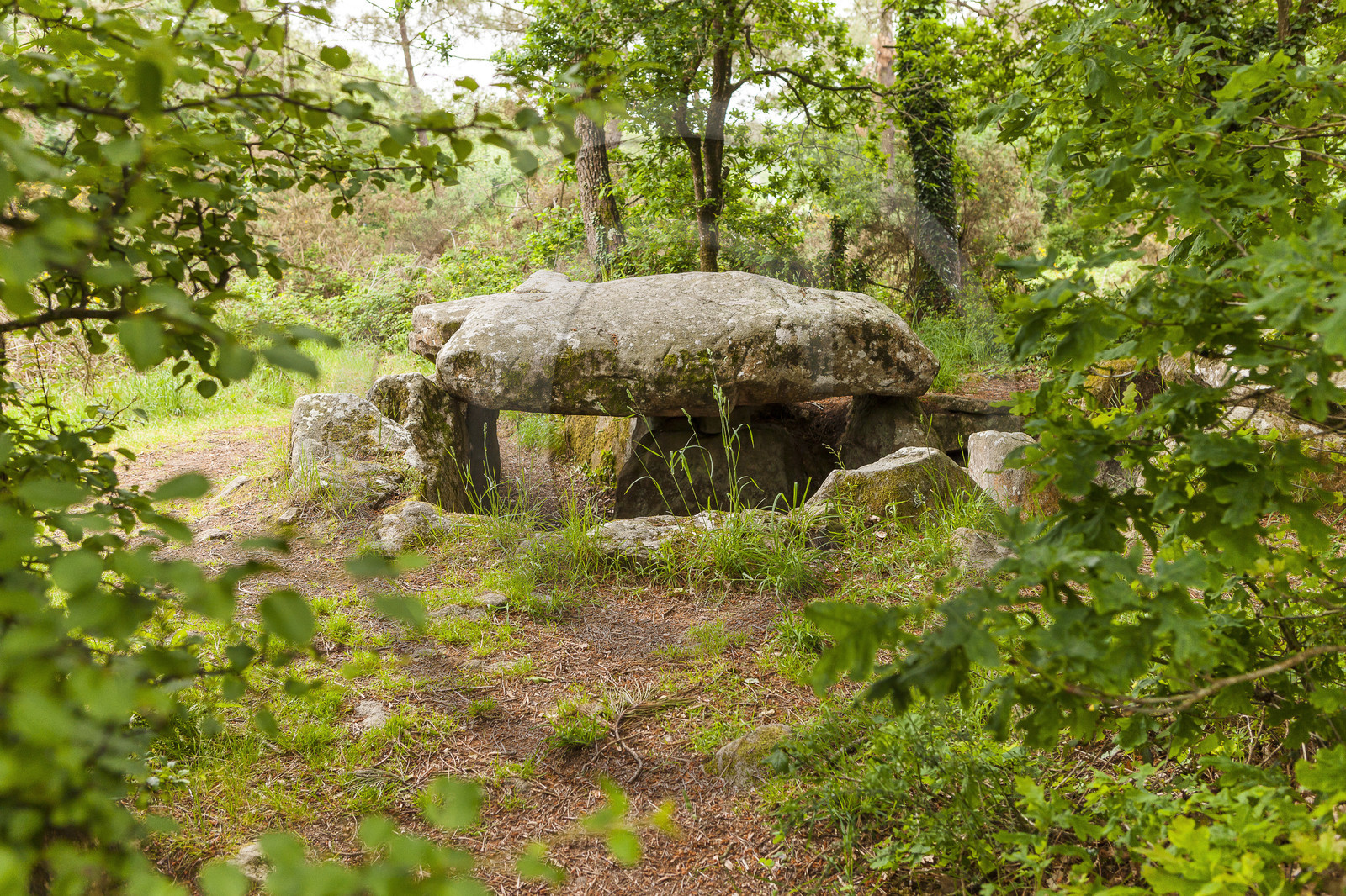 Dolmen de Kermarquer à la Trinité sur Mer