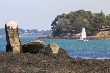 Er Lannic dans le golfe du Morbihan à Arzon