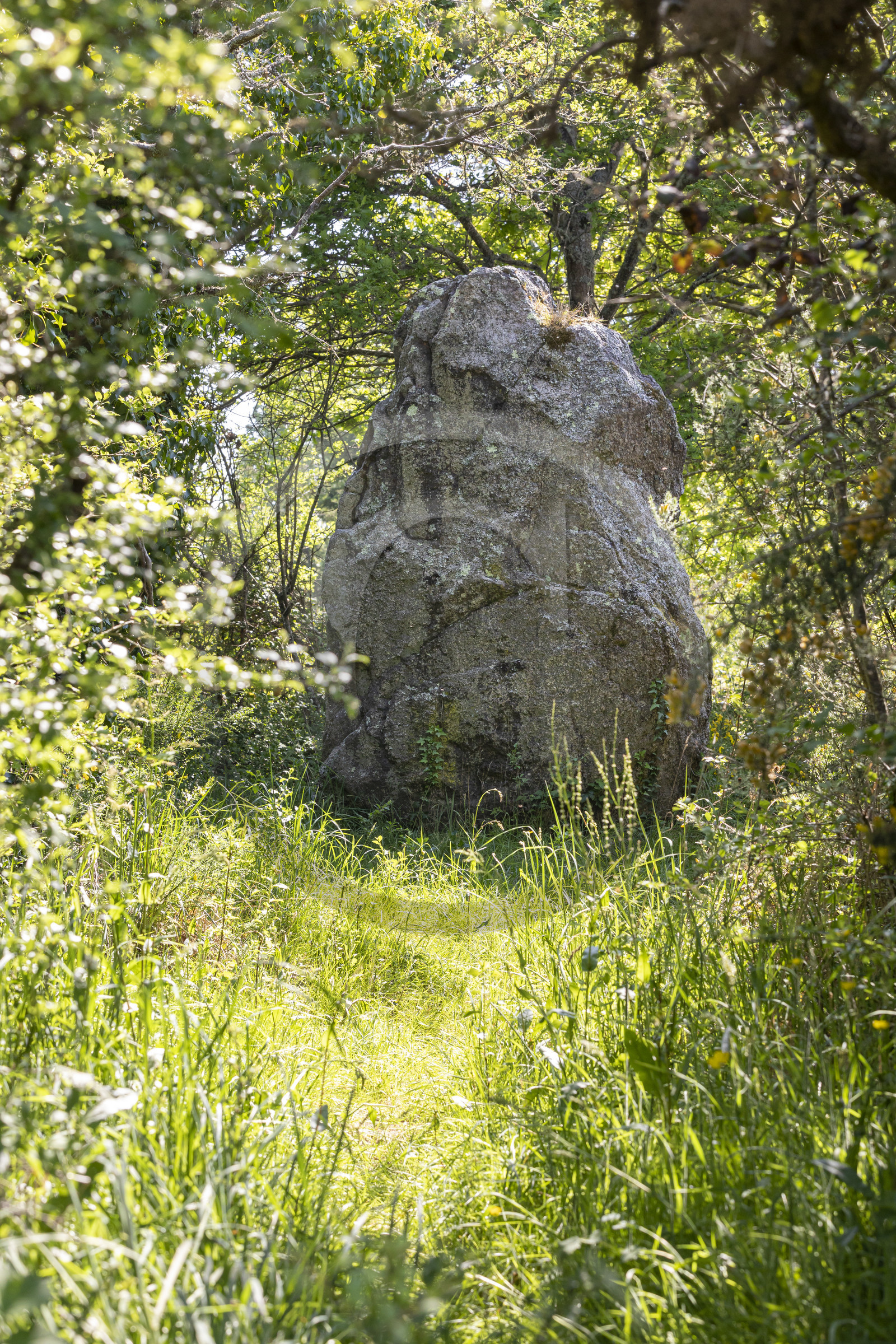 menhir de Men er Palud _ Saint-Gildas-de-Rhuys