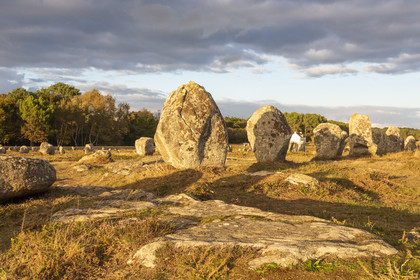 Les alignements du Ménec à Carnac