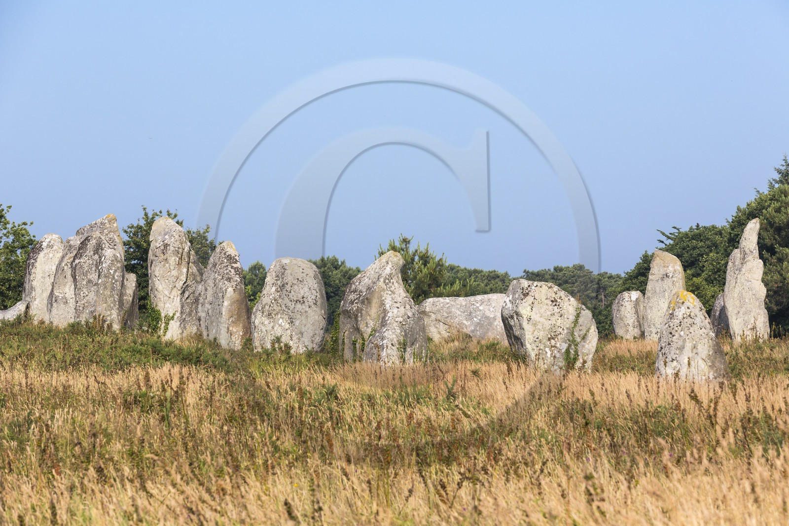 Les alignements de Kermario _ Carnac