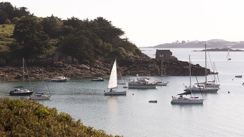 Ile des Ebihens _ Saint-Jacut de la mer