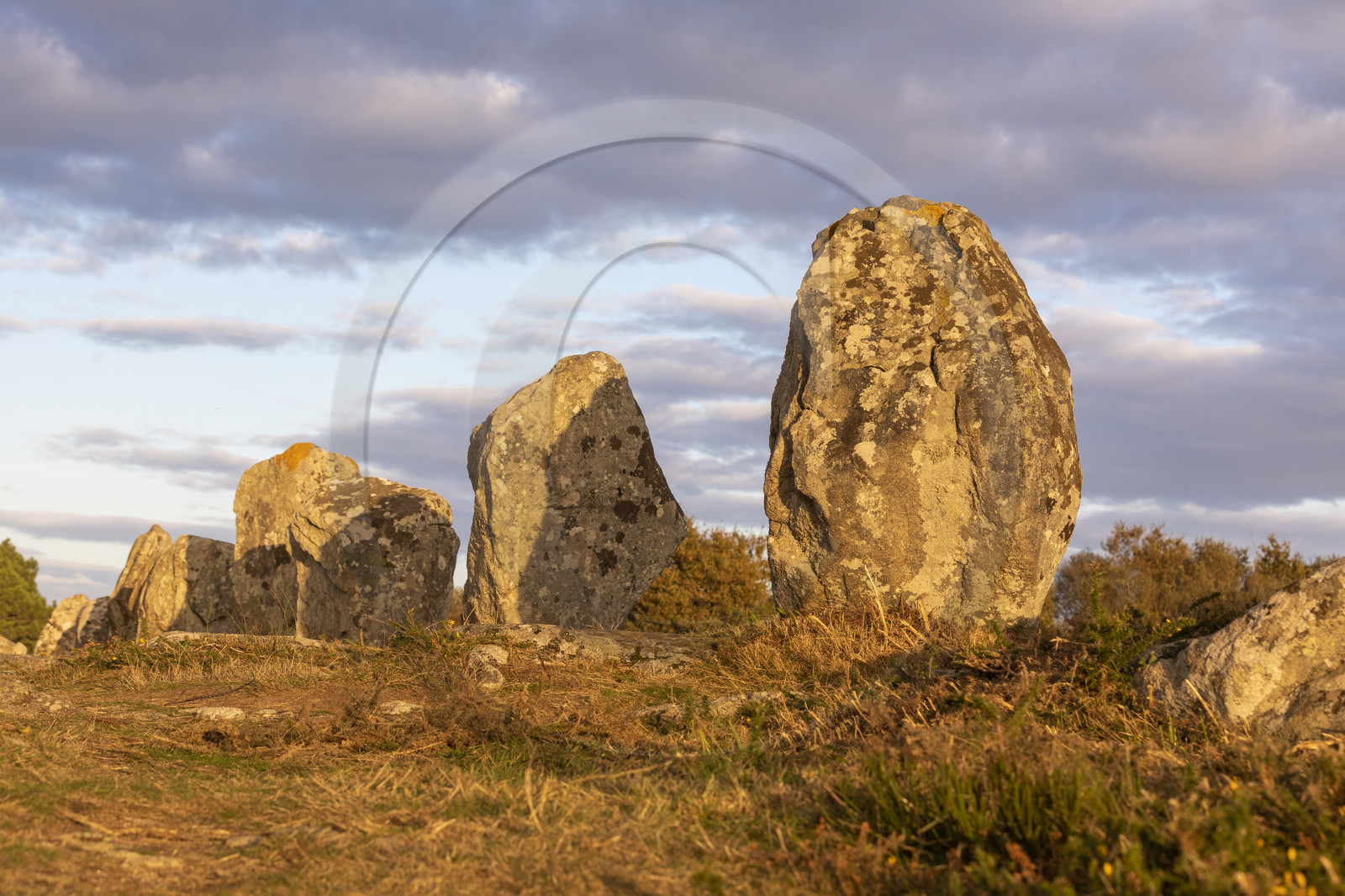 Les alignements du Ménec à Carnac