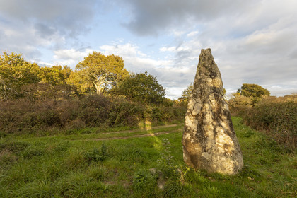 Le tumulus du Moustoir à Carnac