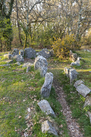 Le site mégalithiques de Mané Bogad à Ploemel