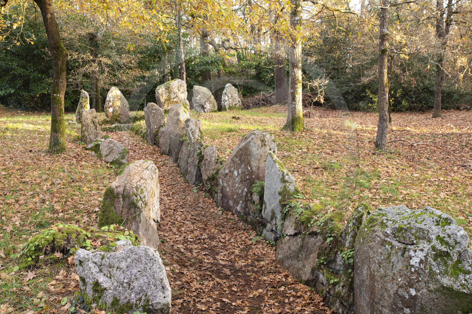 Allée couverte de Luffang Tal-er-Roch à Crach.