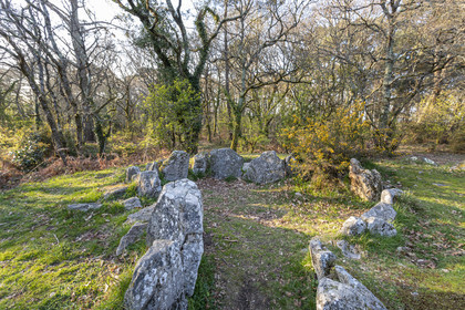 Le site mégalithiques de Mané Bogad à Ploemel